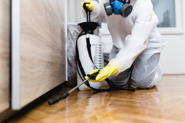Best Pest Inspection Near Me  in Springfield, IL