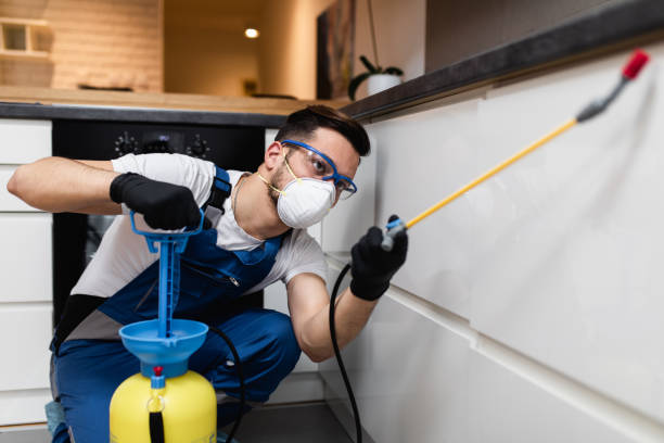 Reliable Springfield, IL Pest Control Solutions
