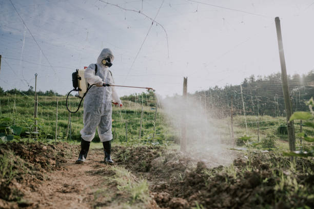 Best Best Pest Control Companies  in Springfield, IL