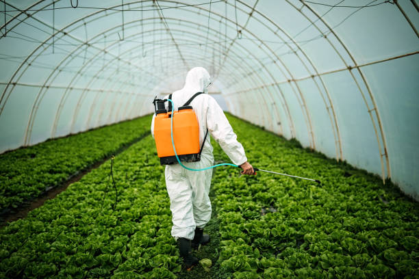 Best Affordable Exterminators  in Springfield, IL