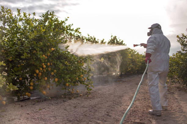 Best Cockroach Control Services  in Springfield, IL