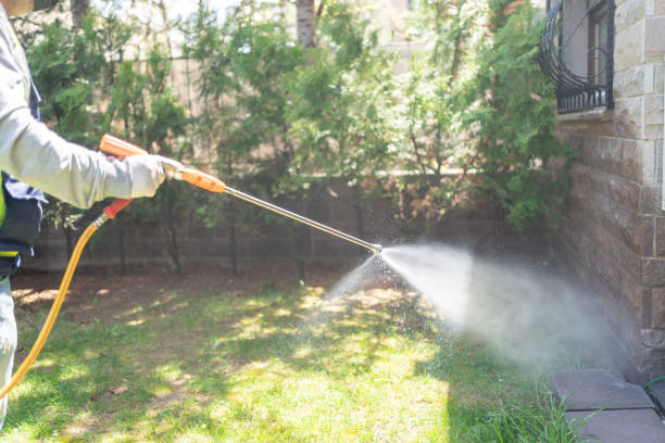 Best Affordable Pest Control Services  in Springfield, IL
