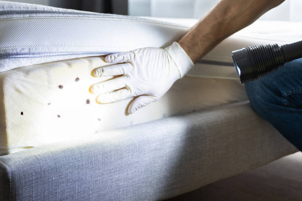 Best Pest Control Near Me  in Springfield, IL
